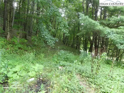 200 Pottertown Rd, Todd, NC 28684