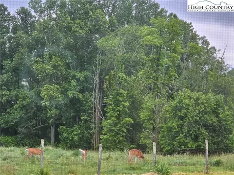859 Phipps Rd, Sparta, NC 28675 photo 41