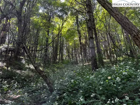 TBD Milton Moretz Road, Boone, NC 28607