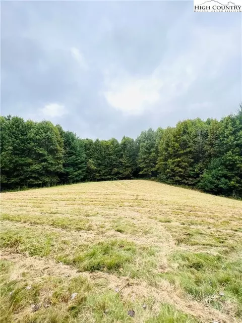 TBD Topia Road, Piney Creek, NC 28663