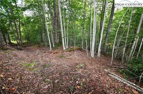 136 Lower Snowbird Trl, Beech Mountain, NC 28604 photo 6