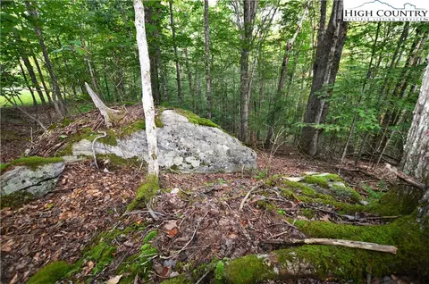 136 Lower Snowbird Trl, Beech Mountain, NC 28604 photo 12