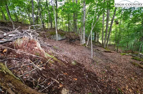 136 Lower Snowbird Trl, Beech Mountain, NC 28604 photo 7