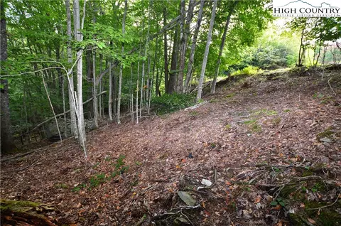 136 Lower Snowbird Trl, Beech Mountain, NC 28604 photo 8