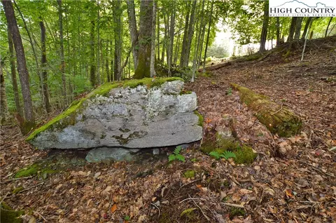 136 Lower Snowbird Trl, Beech Mountain, NC 28604 photo 13