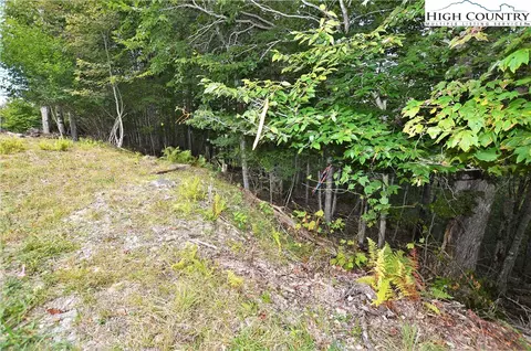 136 Lower Snowbird Trl, Beech Mountain, NC 28604 photo 3