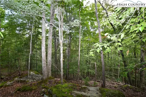 136 Lower Snowbird Trl, Beech Mountain, NC 28604 photo 10