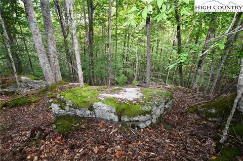136 Lower Snowbird Trl, Beech Mountain, NC 28604 photo 9