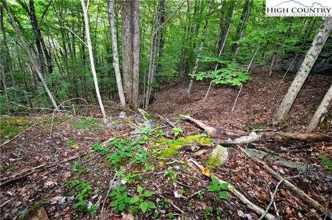 136 Lower Snowbird Trl, Beech Mountain, NC 28604 photo 18