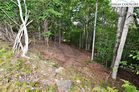 136 Lower Snowbird Trl, Beech Mountain, NC 28604 photo 5