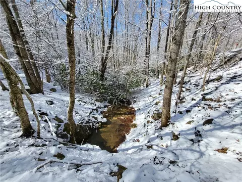 303 Jackpine Rd, Beech Mountain, NC 28604 photo 3
