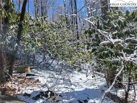 303 Jackpine Rd, Beech Mountain, NC 28604 photo 11