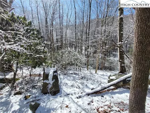 303 Jackpine Rd, Beech Mountain, NC 28604 photo 2