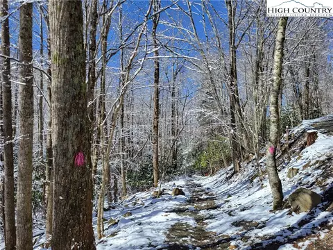 303 Jackpine Rd, Beech Mountain, NC 28604 photo 10
