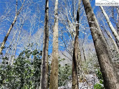 303 Jackpine Rd, Beech Mountain, NC 28604 photo 9