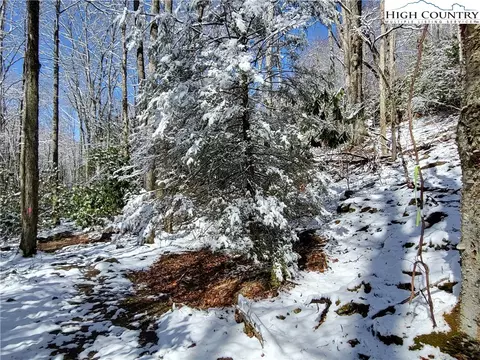 303 Jackpine Rd, Beech Mountain, NC 28604 photo 15