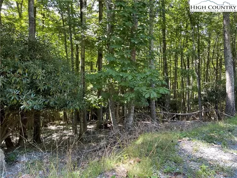 209 Poplar Dr, Beech Mountain, NC 28604