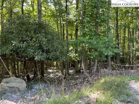209 Poplar Dr, Beech Mountain, NC 28604 photo 3