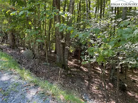 209 Poplar Dr, Beech Mountain, NC 28604 photo 2
