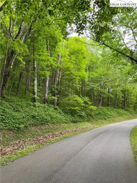 65 Tynecastle Dr, Banner Elk, NC 28604