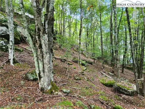 118 113 Windridge Rd, Beech Mountain, NC 28604 photo 2