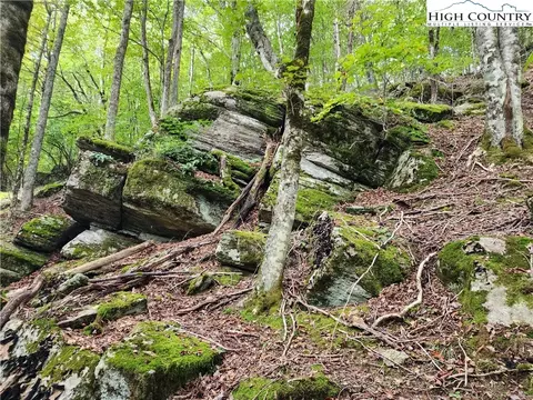 118 113 Windridge Rd, Beech Mountain, NC 28604 photo 4