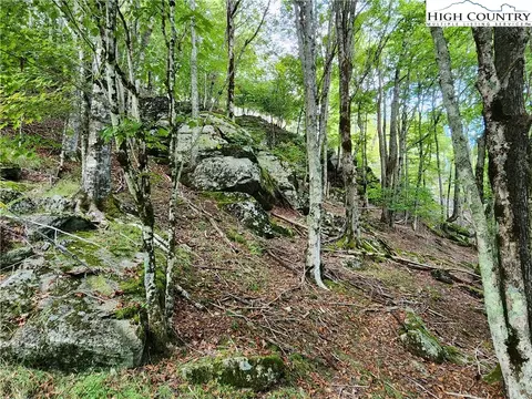 118 113 Windridge Rd, Beech Mountain, NC 28604 photo 3