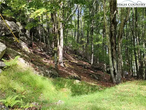118 113 Windridge Rd, Beech Mountain, NC 28604
