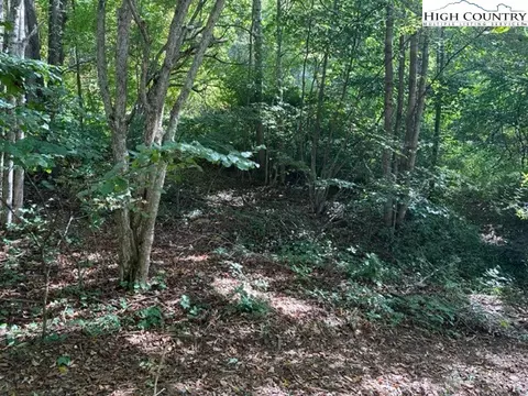 lot1 32 33 Beechwood Cir, Creston, NC 28615 photo 4