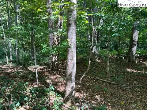 lot1 32 33 Beechwood Cir, Creston, NC 28615 photo 5