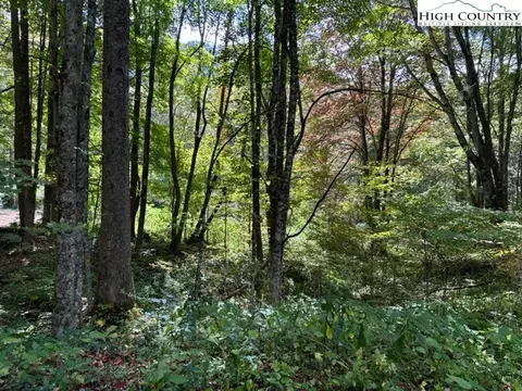 lot1 32 33 Beechwood Cir, Creston, NC 28615 photo 10