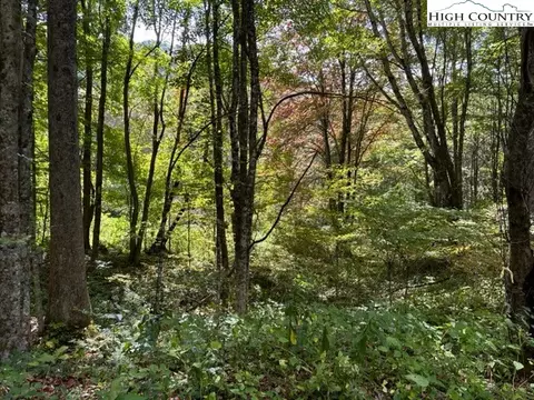 lot1 32 33 Beechwood Cir, Creston, NC 28615 photo 6