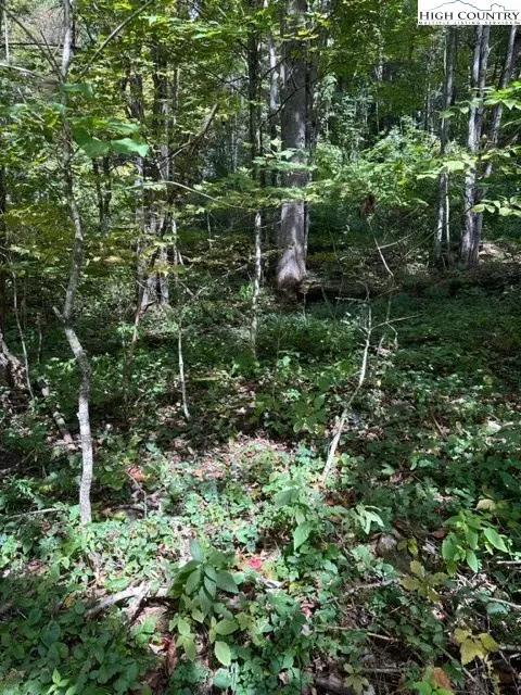 lot1 32 33 Beechwood Cir, Creston, NC 28615 photo 8