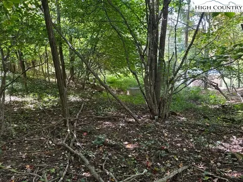 lot1 32 33 Beechwood Cir, Creston, NC 28615 photo 3