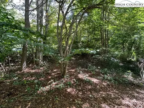 lot1 32 33 Beechwood Cir, Creston, NC 28615 photo 12