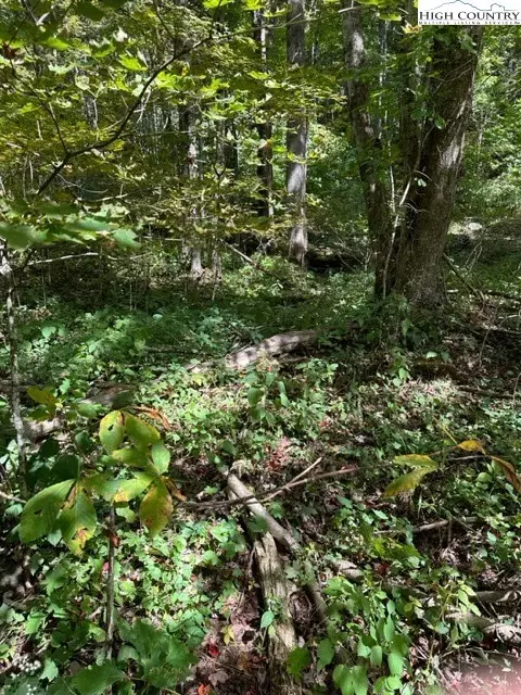 lot1 32 33 Beechwood Cir, Creston, NC 28615 photo 11