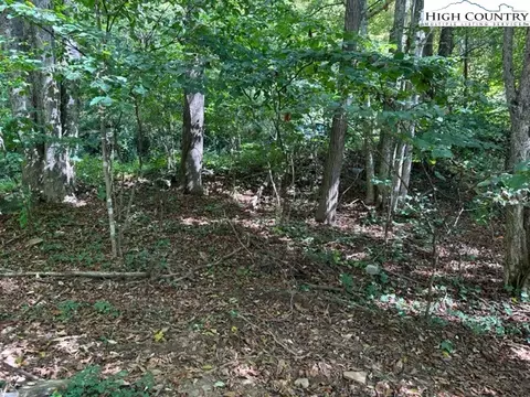 lot1 32 33 Beechwood Cir, Creston, NC 28615 photo 9