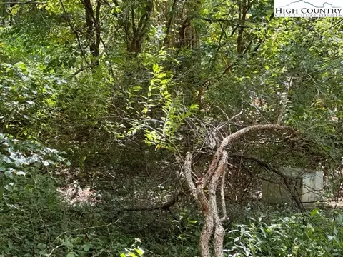 lot1 32 33 Beechwood Cir, Creston, NC 28615 photo 7
