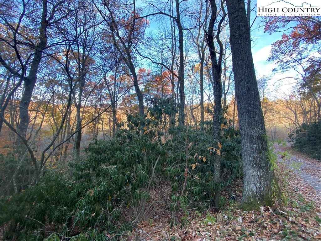 LOT 21 PANORAMA Dr  