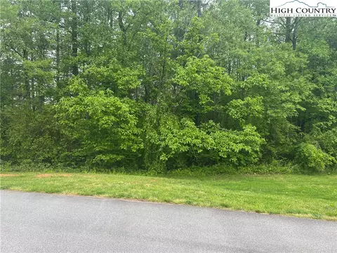 lot10 Burberry Dr, Purlear, NC 28665 photo 2