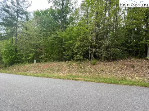 lot10 Burberry Dr, Purlear, NC 28665 photo 4