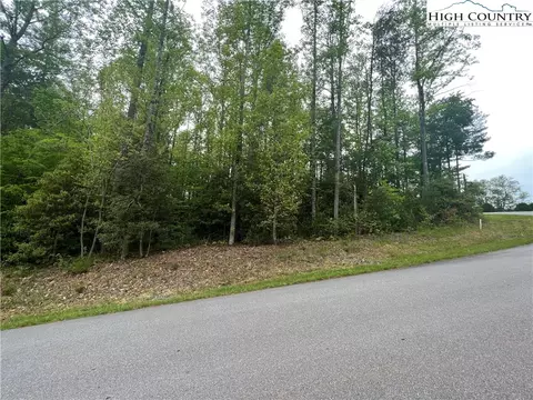 lot10 Burberry Dr, Purlear, NC 28665 photo 3