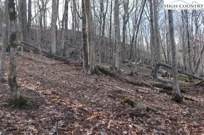 106 Hornbeam Rd, Beech Mountain, NC 28604 photo 3