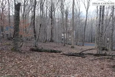 106 Hornbeam Rd, Beech Mountain, NC 28604 photo 4