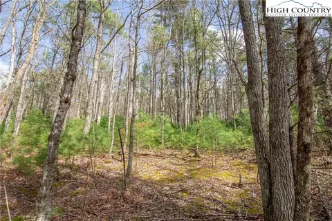 TBD Oak Tree Lane, Glendale Springs, NC 28629