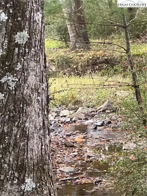 Tbd Busic Valley, Sparta, NC 28675 photo 7