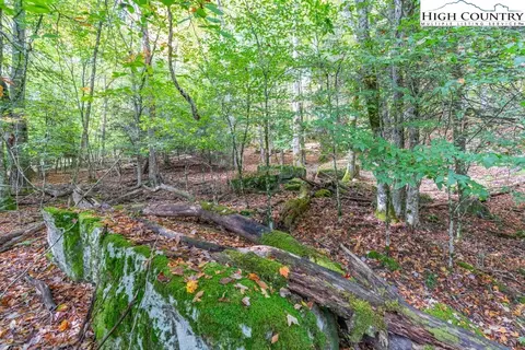 125 E Blueberry Ln, Beech Mountain, NC 28604 photo 12