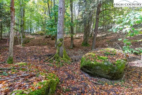 125 E Blueberry Ln, Beech Mountain, NC 28604 photo 3