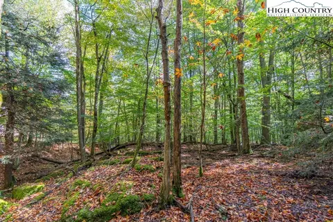 125 E Blueberry Ln, Beech Mountain, NC 28604 photo 6