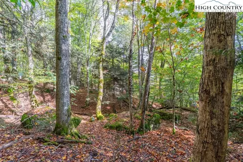 125 E Blueberry Ln, Beech Mountain, NC 28604 photo 7